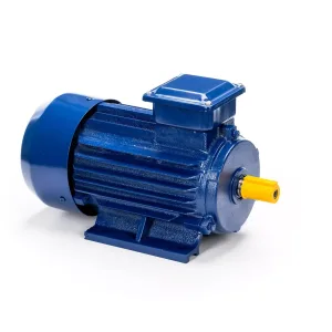 Электродвигатель 5АИ 63 В2 0,55/3000 IM1081