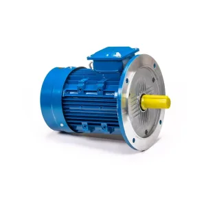 Электродвигатель 5АИ 100 L6 2,2/1000 IM3081