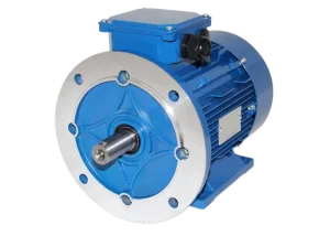 Электродвигатель АИС 100L2 3 кВт 2860 об/мин IM2081(B35)