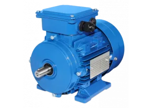 Электродвигатель АИС 63A2 0,18 кВт 2720 об/мин IM1081(B3)