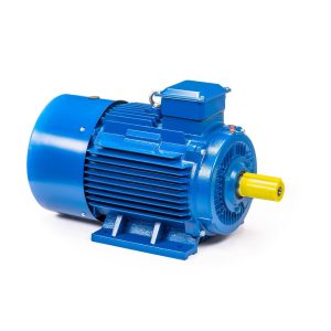 Электродвигатель 5АИ 200 М4 37/1500 IM1001