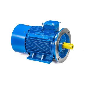 Электродвигатель 5АИ 200 М4 37/1500 IM2001