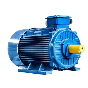 Электродвигатель 5АИ 355 М8 160/750 IM1001