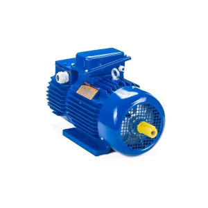 Электродвигатель 5MTH 132 LB6 7,5/1000 IM1001