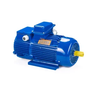 Электродвигатель 5МТН 225 L8 37/750 IM1003