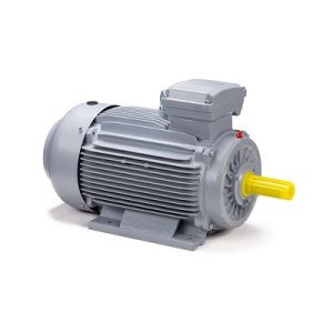 Эл.двигатель ESQ PR 100 LA2-SDN-Б1-S12-IE2 3/3000 IM B3